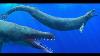 Basilosaurids The Serpent Whales