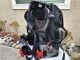 New Mares Magellan Back-inflate Travel Scuba Bcd S/m