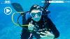 Snsi Master Buoyancy U0026 Trim Diver English